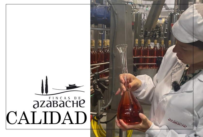 QUALITY A CORE PRINCIPLE AT VIÑEDOS DE ALDEANUEVA