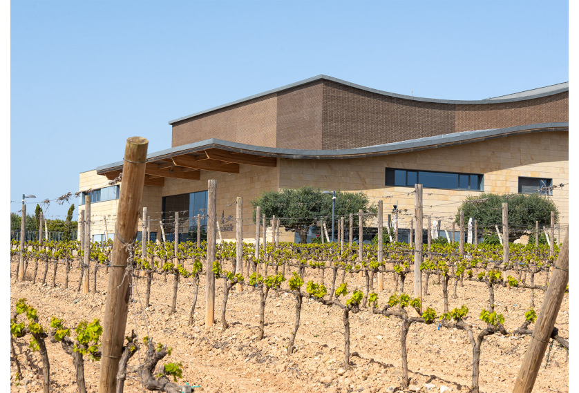 GRAPEVINE BUDBREAK: THE AWAKENING OF THE VEGETATIVE CYCLE IN RIOJA