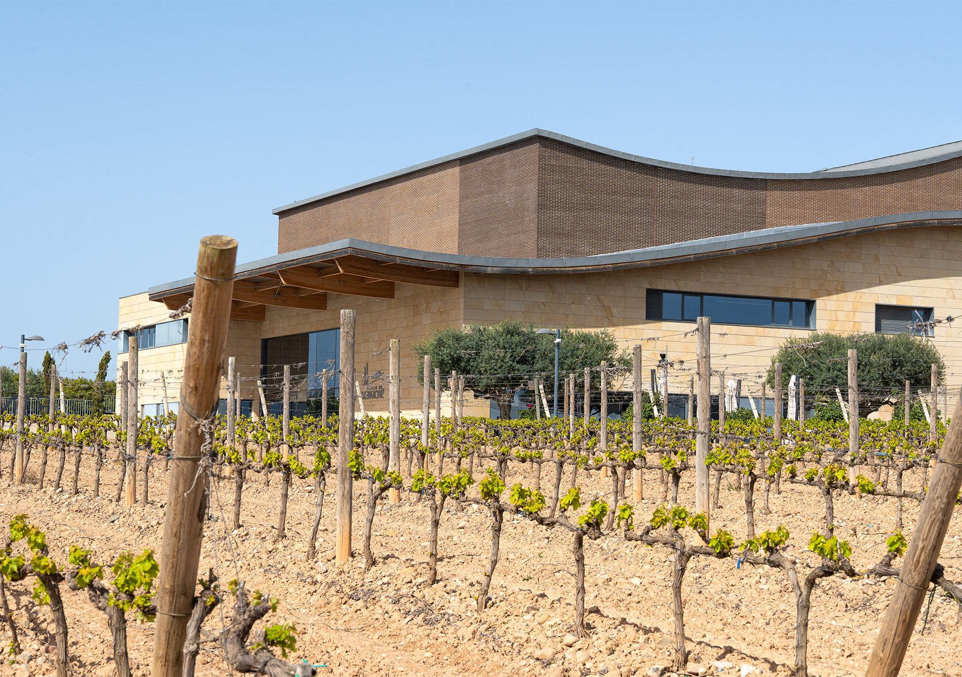 GRAPEVINE BUDBREAK: THE AWAKENING OF THE VEGETATIVE CYCLE IN RIOJA
